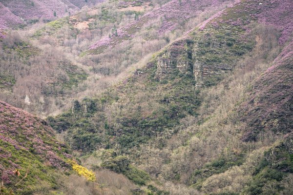 Comment utiliser la cartographie des talents pour planifier la succession dans les entreprises familiales ?